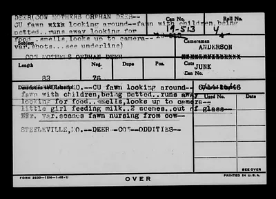 p. 44