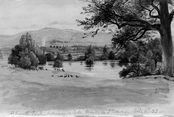 Petworth Park