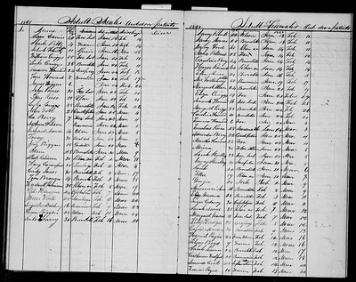 p. 21