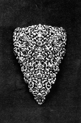 Stomacher