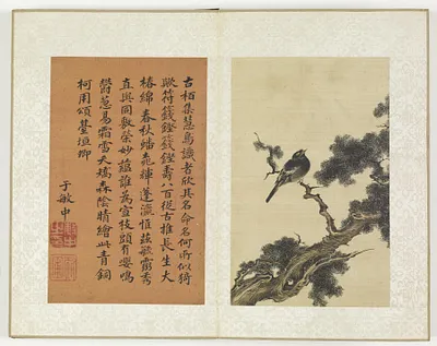 p. 6