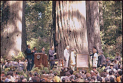 Dedication of Lady Bird Johnson Grove in Redwood National Park, California