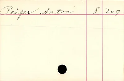 p. 20