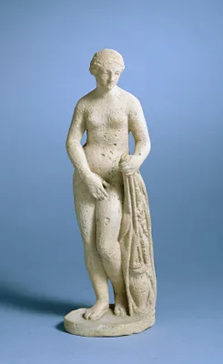 p. 7