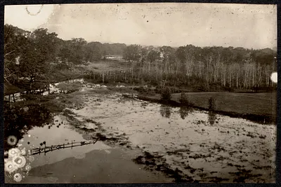 General views, miscellany, meadow on Dudley Street