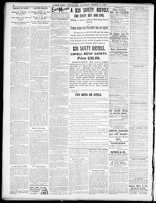 Boston Daily Traveller
