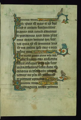 p. 7
