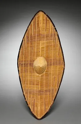 Shield