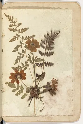 p. 6