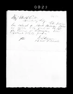 p. 33