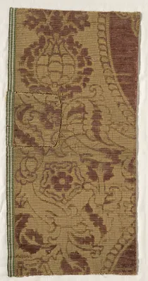 Fragments of Velvet Brocade