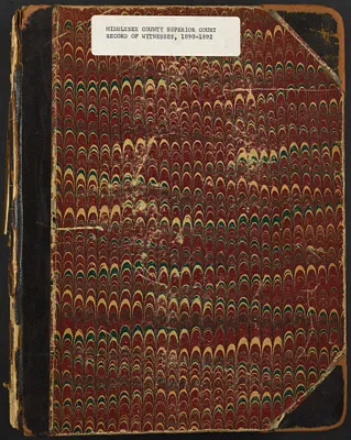 Records of Testimony of Witnesses, 1890-1892