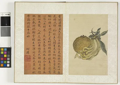 p. 26
