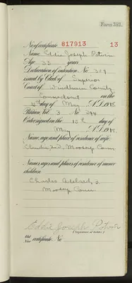 p. 15