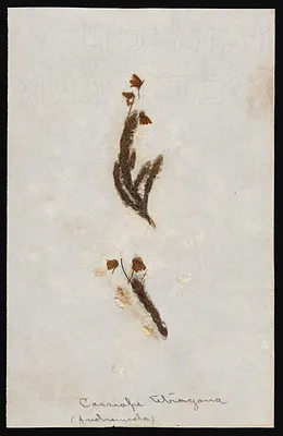 p. 7