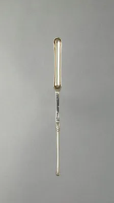 Marrow Scoop