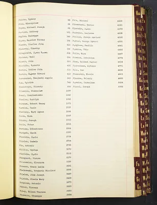 p. 27