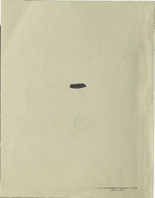 p. 55