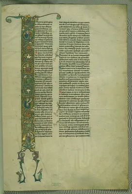p. 2