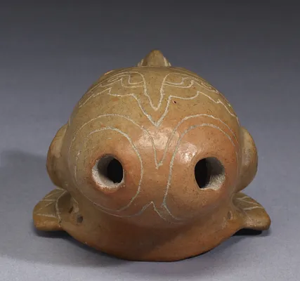 Head