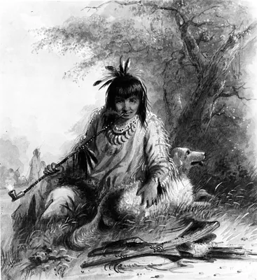p. 3