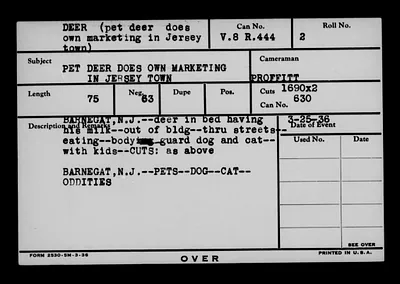 p. 19