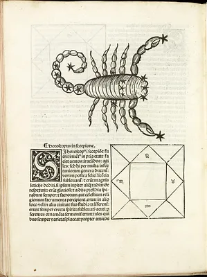 p. 7