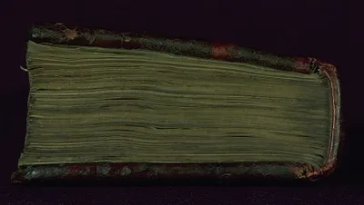 p. 17