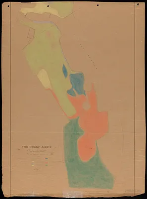 Tom Swamp Annex (IX) 1924 stand map