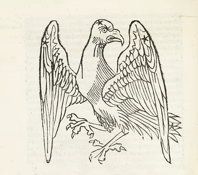 p. 55