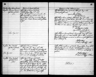 p. 31