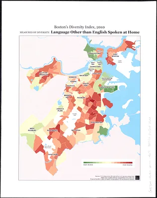 Boston's diversity index, 2010 : measures of diversity