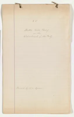 p. 15