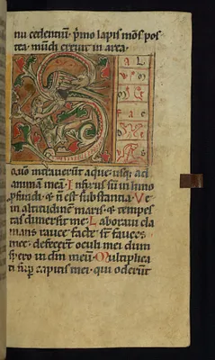 Initial S with Man Battling a Dragon