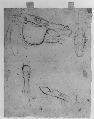 Drawing After the Pediment of the Parthenon