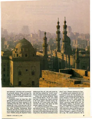 p. 44