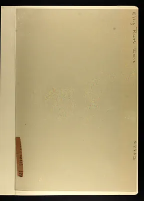 p. 3