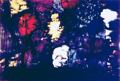 p. 3