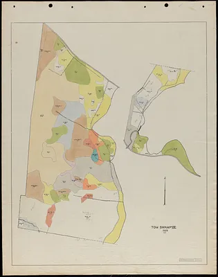Tom Swamp VII 1929 stand map
