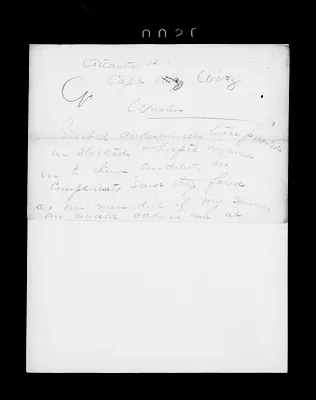 p. 31