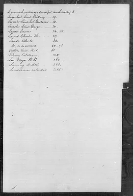 p. 20