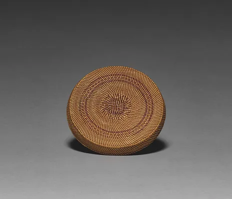 Cover for a Bowl