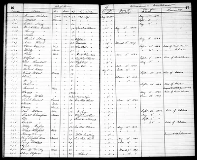 p. 11