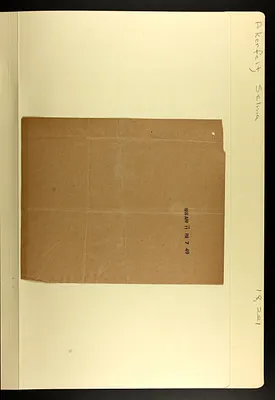 p. 25
