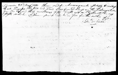 p. 8