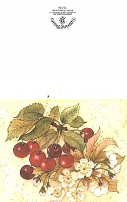 p. 28