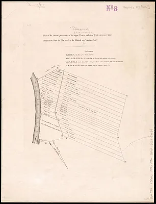 Plat of the ancient possessions of the upper prairie confirmed by the governors, their continuation from the Elm road to the Wabash and Indian Field
