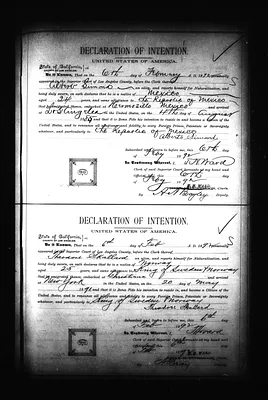 p. 41