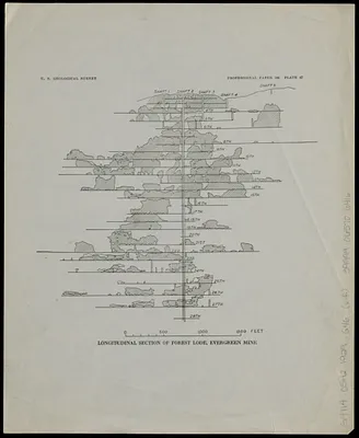 Longitudinal section of Forest Lode, Evergreen Mine