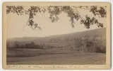 Bare Hill